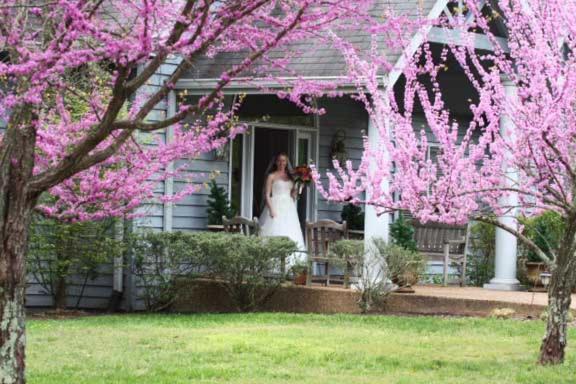 The Garden Inn Bed & Breakfast At Bee Rock Monterey Luaran gambar